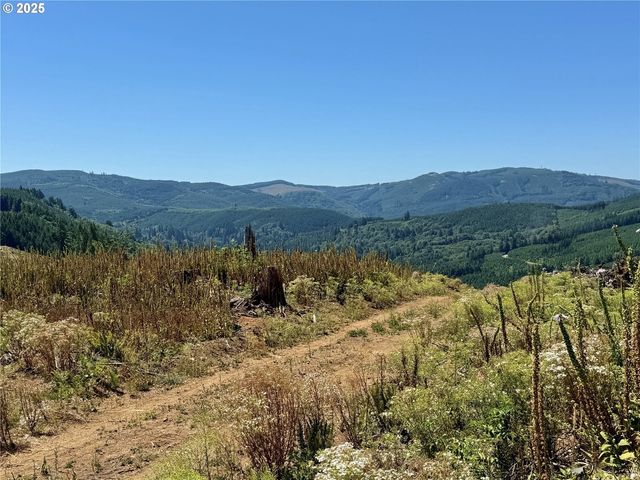3700 Little Kalama River Rd 6, Woodland, WA 98674