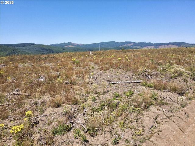 3700 Little Kalama River Rd 6, Woodland, WA 98674