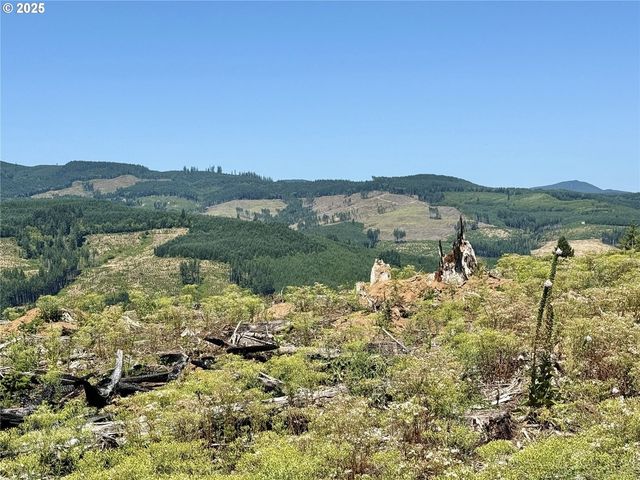 3700 Little Kalama River Rd 6, Woodland, WA 98674