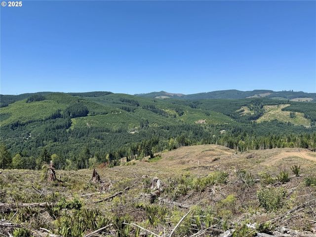 3700 Little Kalama River Rd 6, Woodland, WA 98674