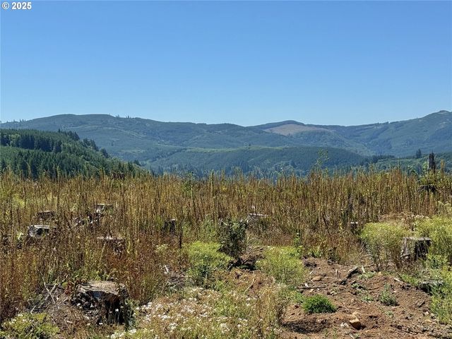 3700 Little Kalama River Rd 6, Woodland, WA 98674