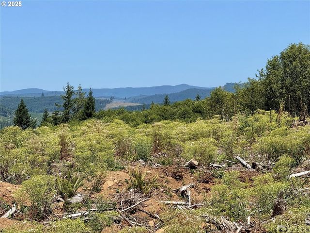 3700 Little Kalama River Rd 6, Woodland, WA 98674