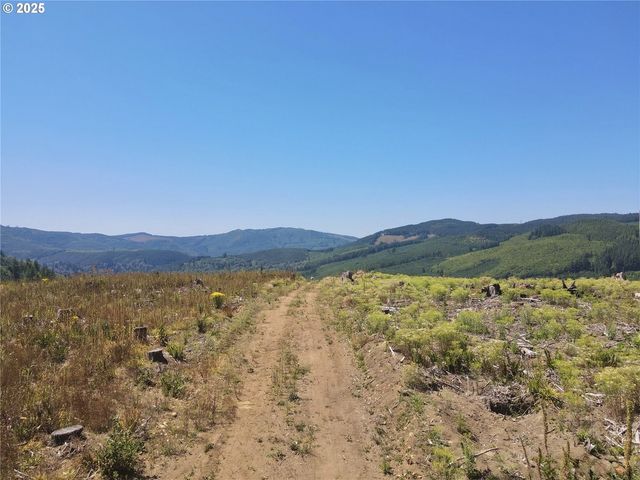3700 Little Kalama River Rd 6, Woodland, WA 98674