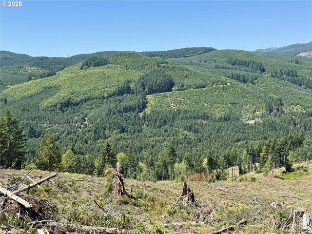 3700 Little Kalama River Rd 6, Woodland, WA 98674