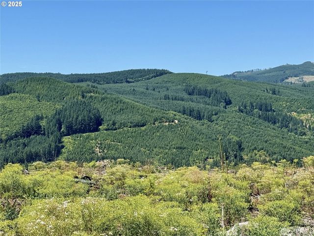 3700 Little Kalama River Rd 6, Woodland, WA 98674