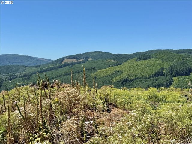 3700 Little Kalama River Rd 6, Woodland, WA 98674
