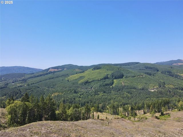 3700 Little Kalama River Rd 6, Woodland, WA 98674
