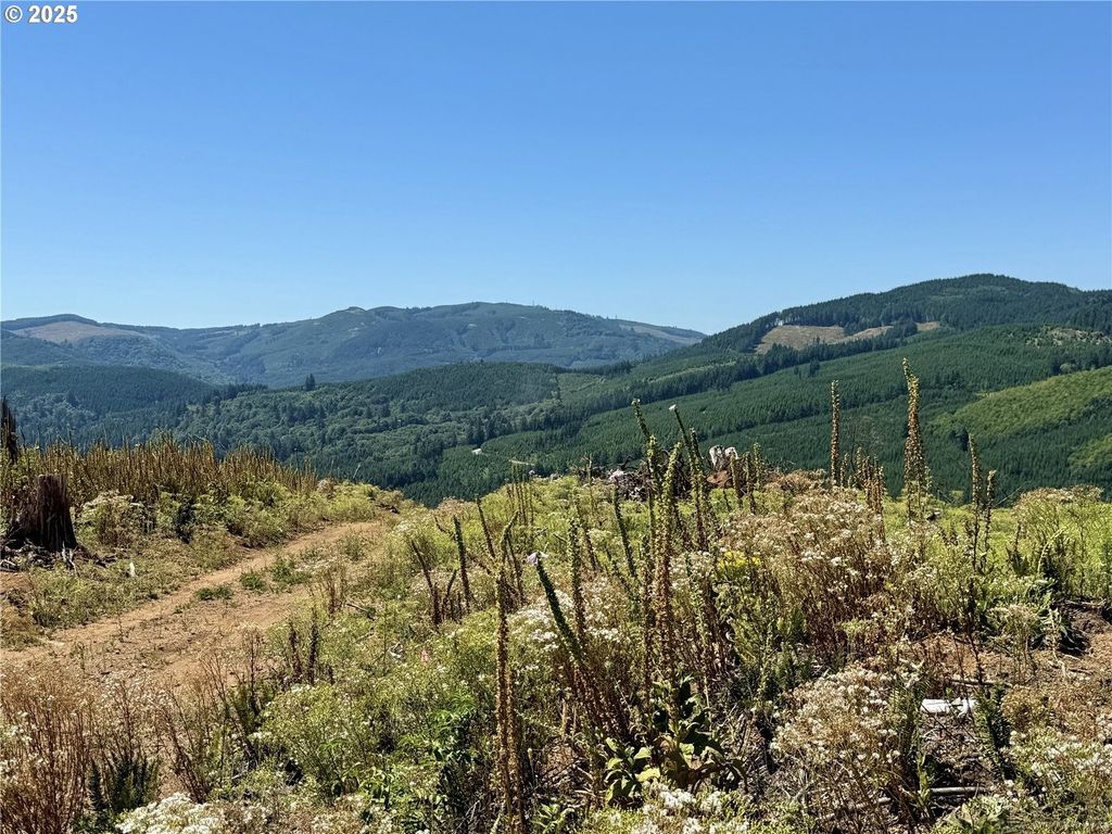 3700 Little Kalama River Rd 6, Woodland, WA 98674