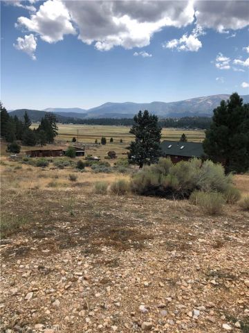1145 Live Oak, Big Bear, CA 92314