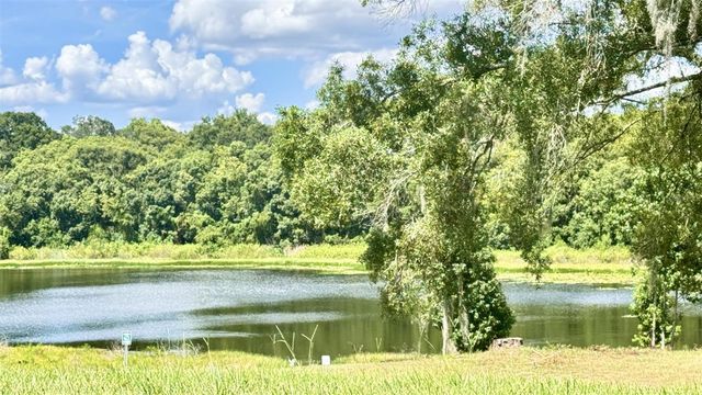 3401 WAX MYRTLE CIRCLE 1745, Zellwood, FL 32798