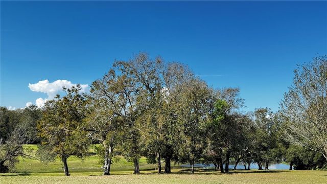 3401 WAX MYRTLE CIRCLE 1745, Zellwood, FL 32798