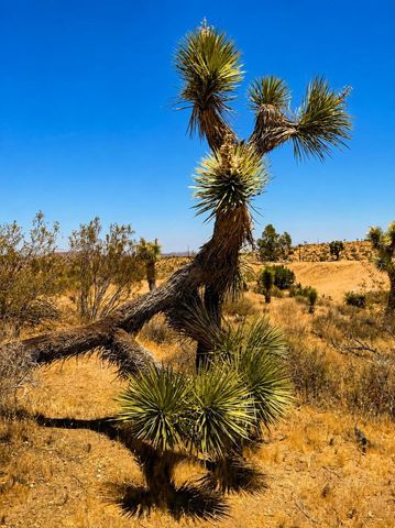 58920 Lisbon Drive, Yucca Valley, CA 92284
