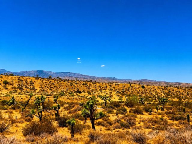 58920 Lisbon Drive, Yucca Valley, CA 92284