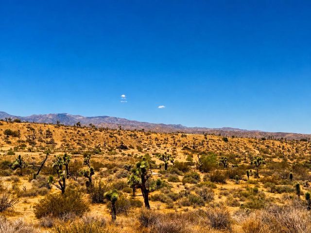 58920 Lisbon Drive, Yucca Valley, CA 92284