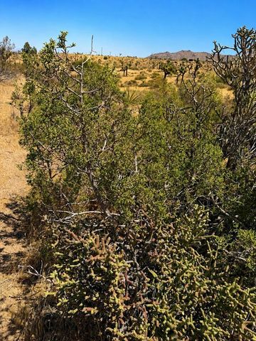 58920 Lisbon Drive, Yucca Valley, CA 92284