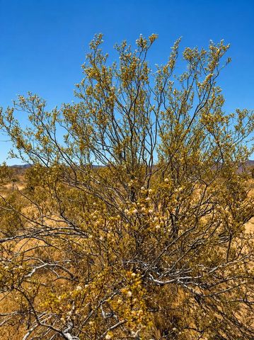 58920 Lisbon Drive, Yucca Valley, CA 92284