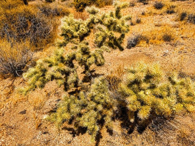 58920 Lisbon Drive, Yucca Valley, CA 92284