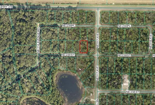 NE 239TH ST, Fort Mc Coy, FL 32134