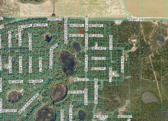 NE 239TH ST, Fort Mc Coy, FL 32134