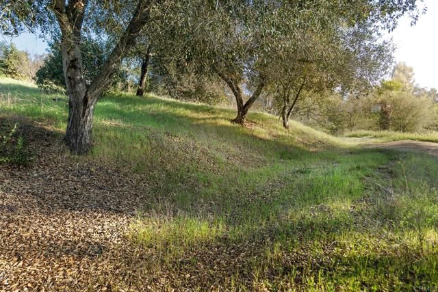 0 McNally Road, Valley Center, CA 92082