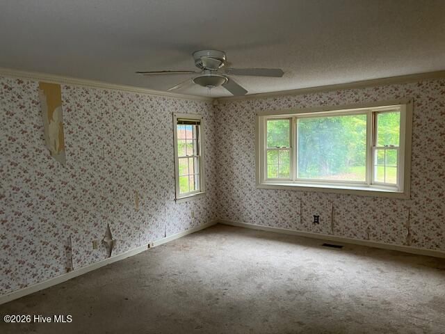 133 Perry Drive, Goldsboro, NC 27530