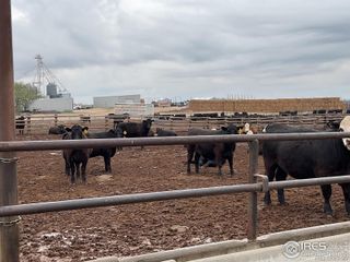 40 Hwy, Kit Carson, CO 80825