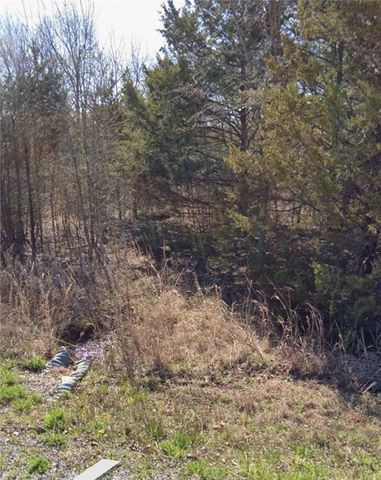 Lot 313-314 Arabian, Rogers, AR 72756