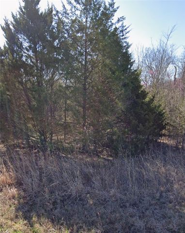 Lot 313-314 Arabian, Rogers, AR 72756