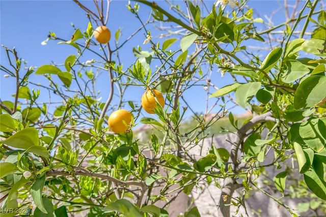 829 Dancing Vines Avenue, Las Vegas, NV 89183