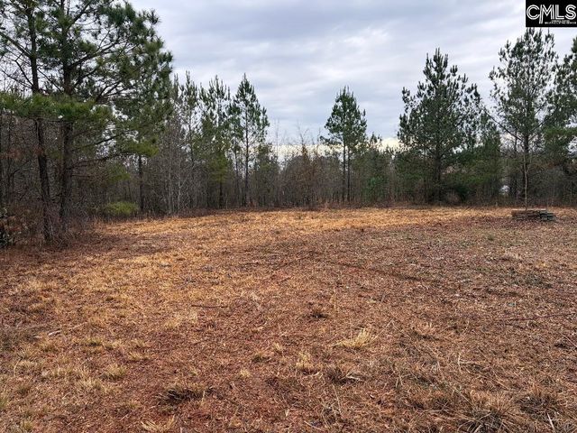 920 MACK EDISTO Road, Swansea, SC 29160