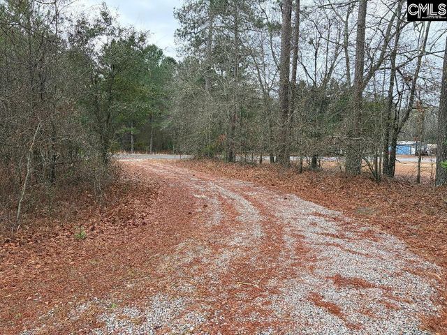 920 MACK EDISTO Road, Swansea, SC 29160