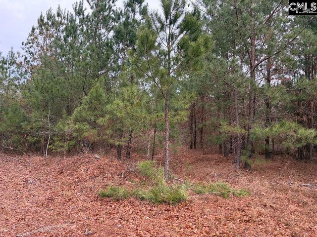 920 MACK EDISTO Road, Swansea, SC 29160