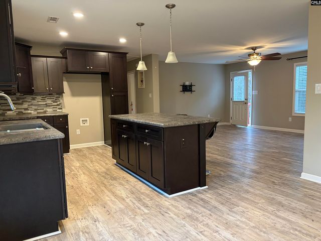 920 MACK EDISTO Road, Swansea, SC 29160