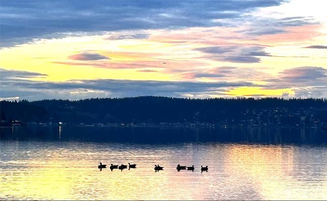 110 174th Place NE, Bellevue, WA 98008