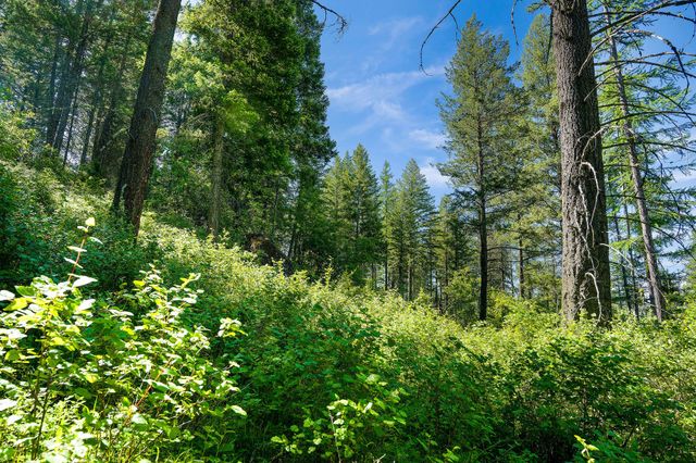 643 Saddlehorn Trail, Bigfork, MT 59911 property photo