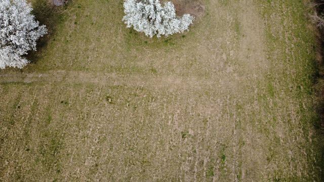 5160 Hillcrest Ln, Culleoka, TN 38451