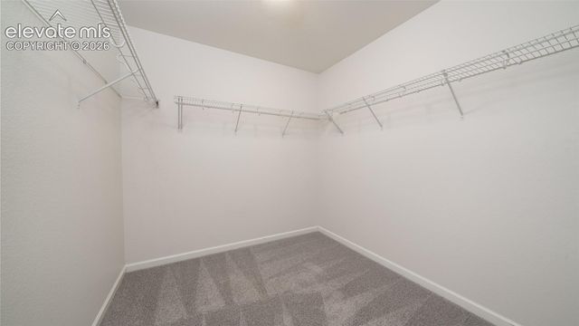6727 Ironwood Tree Circle, Colorado Springs, CO 80927