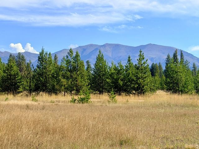 422 Daisy Lane, Seeley Lake, MT 59868 property photo