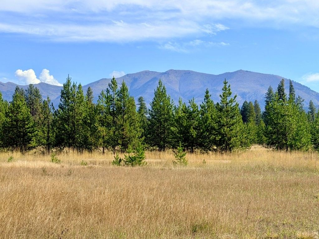 422 Daisy Lane, Seeley Lake, MT 59868