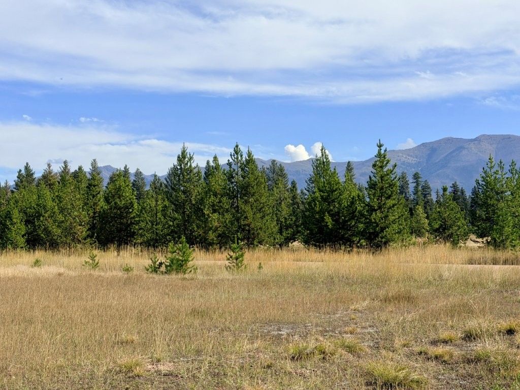 422 Daisy Lane, Seeley Lake, MT 59868 photo 3