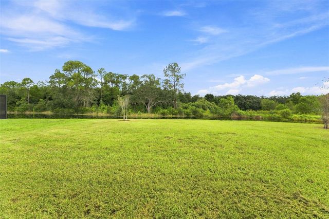 33367 APRICOT TREE COURT, Wesley Chapel, FL 33543