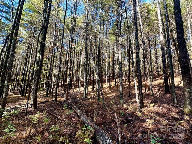 146 Bream Flats Drive 40, Nebo, NC 28761