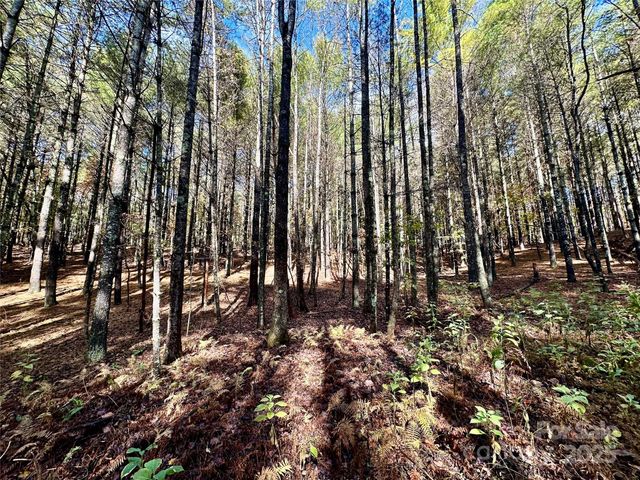 146 Bream Flats Drive 40, Nebo, NC 28761