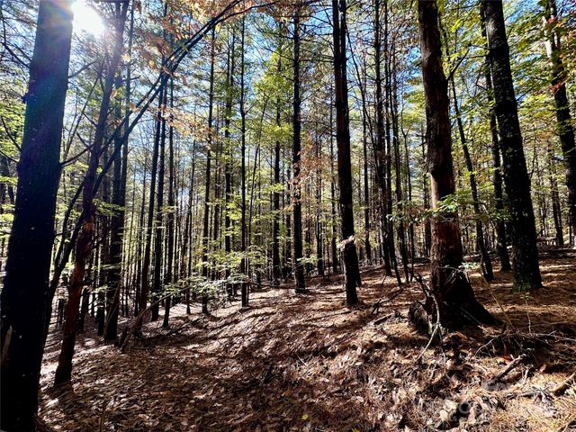 146 Bream Flats Drive 40, Nebo, NC 28761