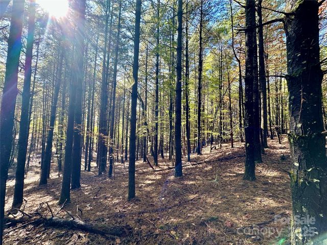 146 Bream Flats Drive 40, Nebo, NC 28761