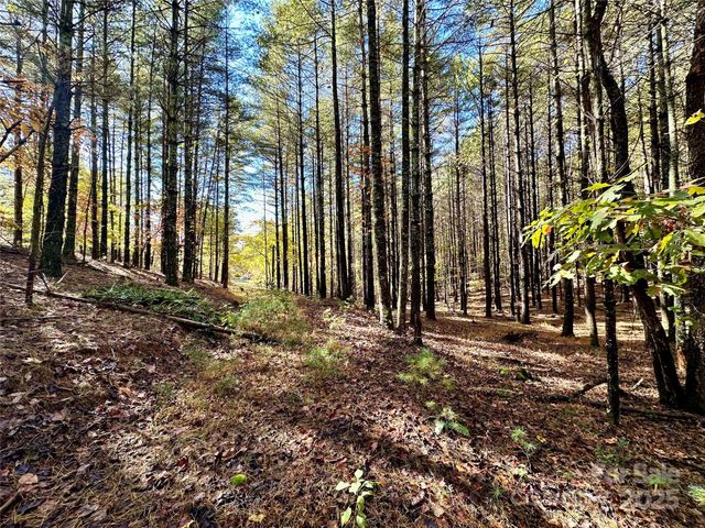 146 Bream Flats Drive 40, Nebo, NC 28761