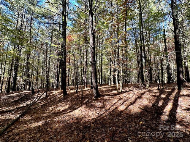 146 Bream Flats Drive 40, Nebo, NC 28761