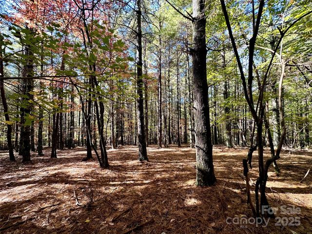 146 Bream Flats Drive 40, Nebo, NC 28761