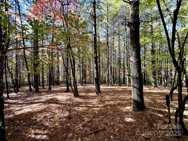 146 Bream Flats Drive 40, Nebo, NC 28761