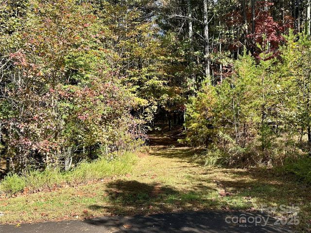 146 Bream Flats Drive 40, Nebo, NC 28761